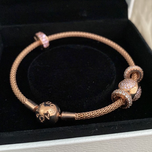 NWOT Pandora Moments Mesh Bracelet in Rose Gold with Charms and Cleaning Kit - Picture 3 of 11